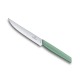 Victorinox - Couteau Steak Denté 12cm Swiss Modern - Vert Pastel - 6.9006.12W41